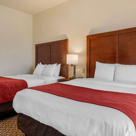 Comfort Inn & Suites Airport Fort Myers Exterior foto